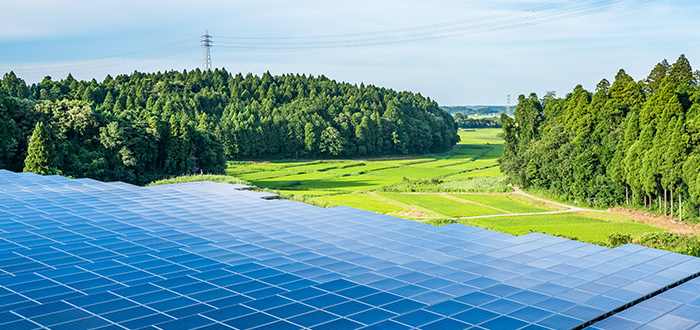 太陽光発電事業